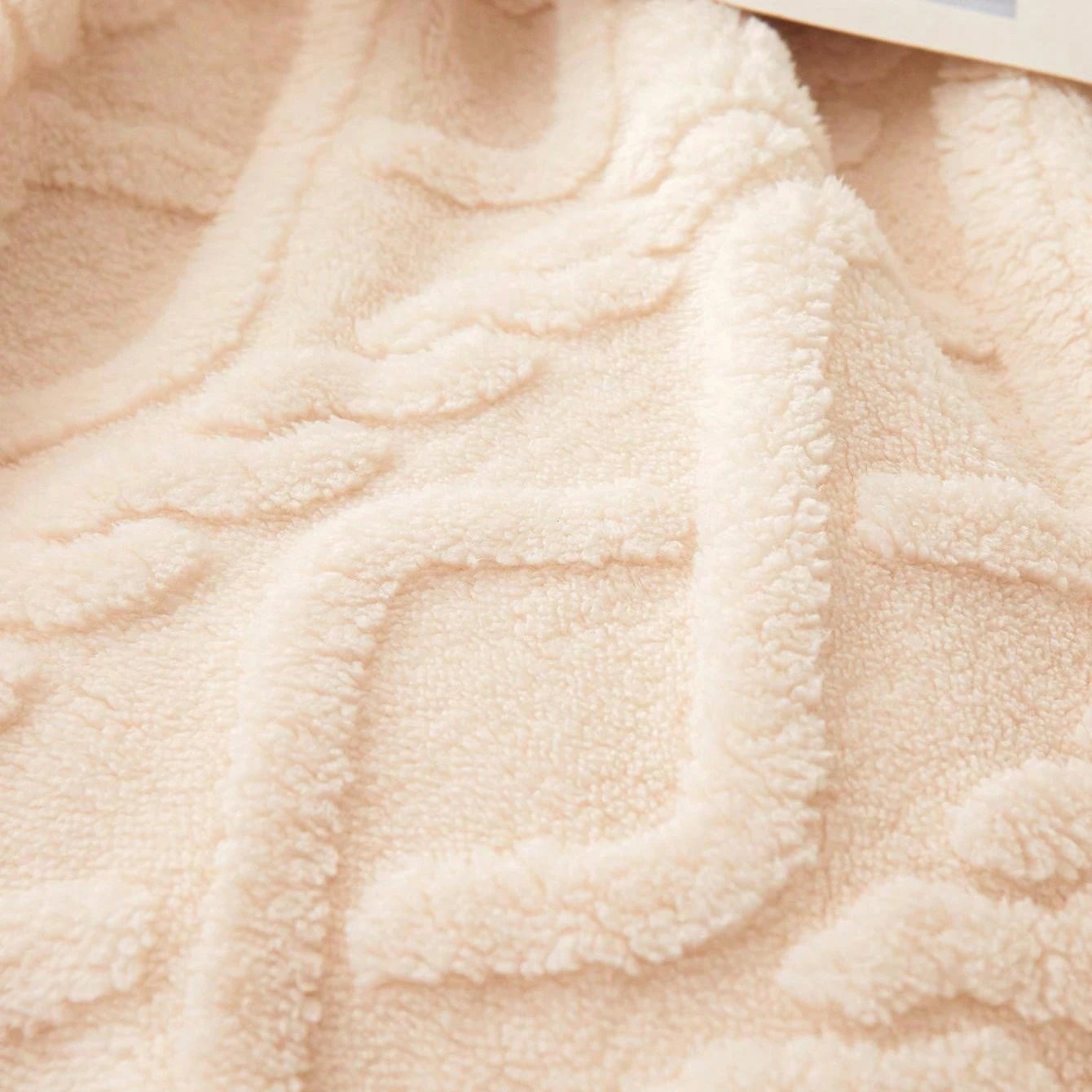 Cozy Coral Fleece Blanket