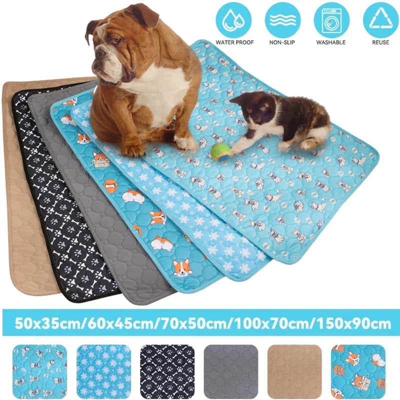 Absorbent Pet Training Mat