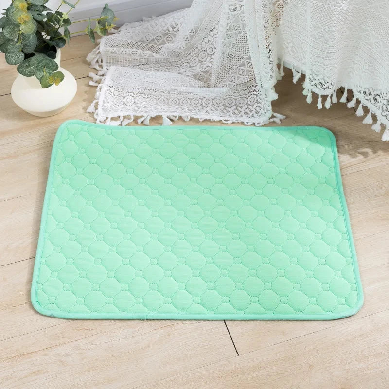 Waterproof Pet Training Mat