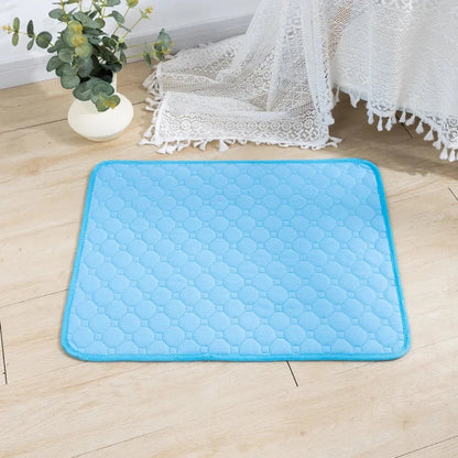 Waterproof Pet Training Mat
