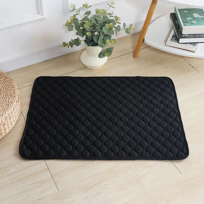 Waterproof Pet Training Mat