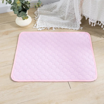 Waterproof Pet Training Mat