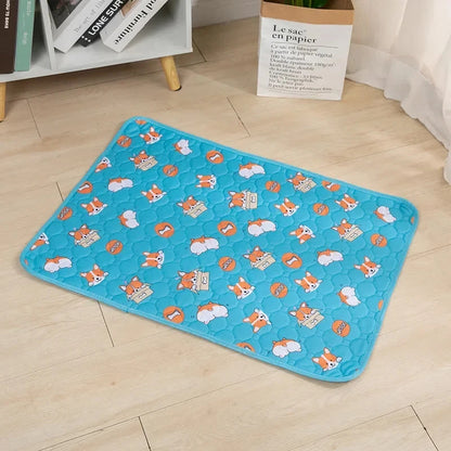 Waterproof Pet Training Mat