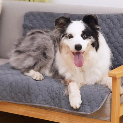 Waterproof Pet Training Mat
