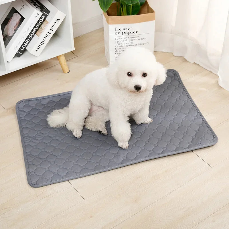 Absorbent Pet Training Mat