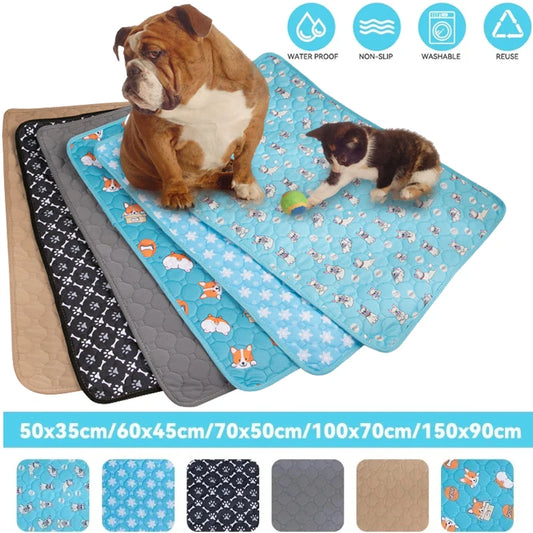 Absorbent Pet Training Mat