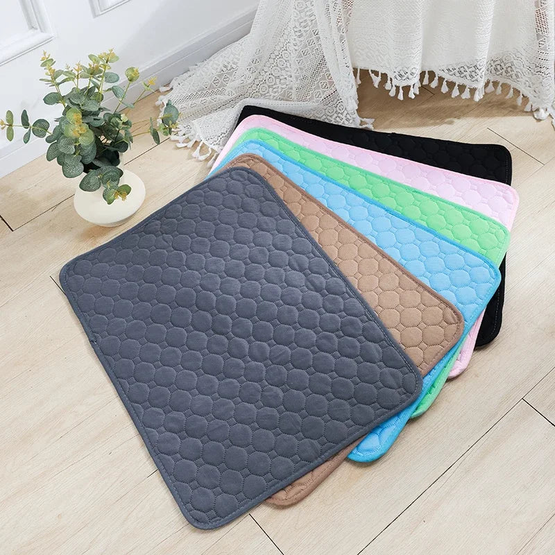 Absorbent Pet Training Mat